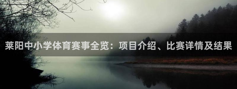 必发集团网站|莱阳中小学体育赛事全览：项目介绍、比赛详情及结