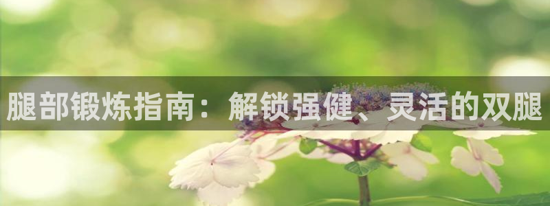 必发集团登录入口7790会员|腿部锻炼指南：解锁强健、灵活的