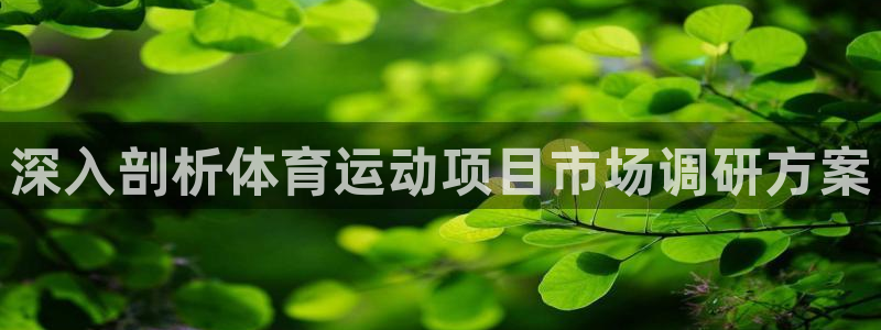 必发集团网址8860|深入剖析体育运动项目市场调研方案