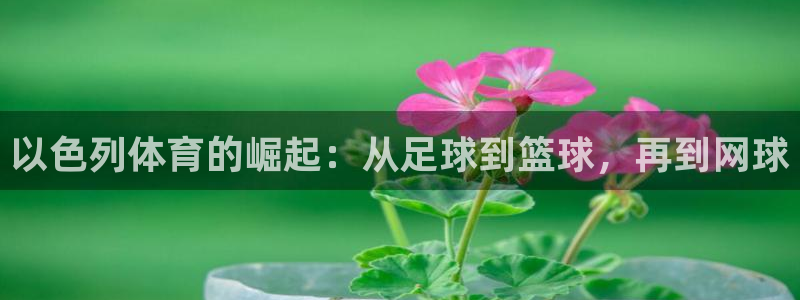 home一必发官网|以色列体育的崛起：从足球到篮球，再到网球