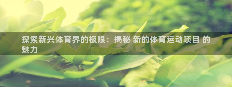 必发集团网站app|探索新兴体育界的极限：揭秘 新的体育运动