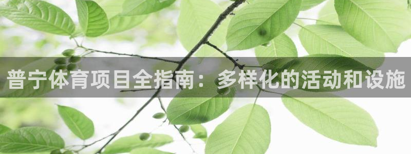 必发集团官方网站|普宁体育项目全指南：多样化的活动和设施